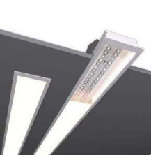 RVE00018555  