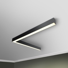 RVE00011828  