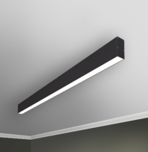 RVE00018581  