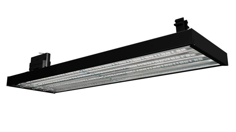 FALCON 45 NW,CW O IP20  в Москве 