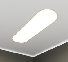 RVE00003183  