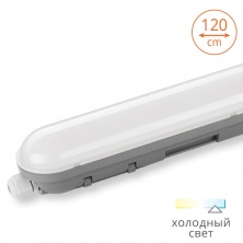 LWP36C-01  