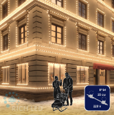RL-BL2-50M-250-W  в Москве 