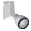   в Москве 