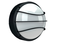 DAMIN L NBT F226 HF silver  