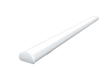 FI 81 30W  