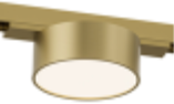   в Москве 