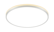 CL748500  