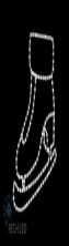 RL-FD-24V-025-W  