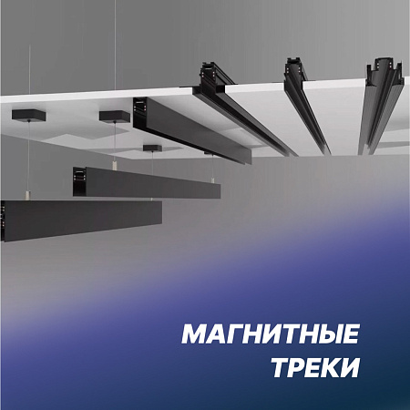 Магнитная трековая система