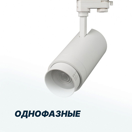 Однофазные